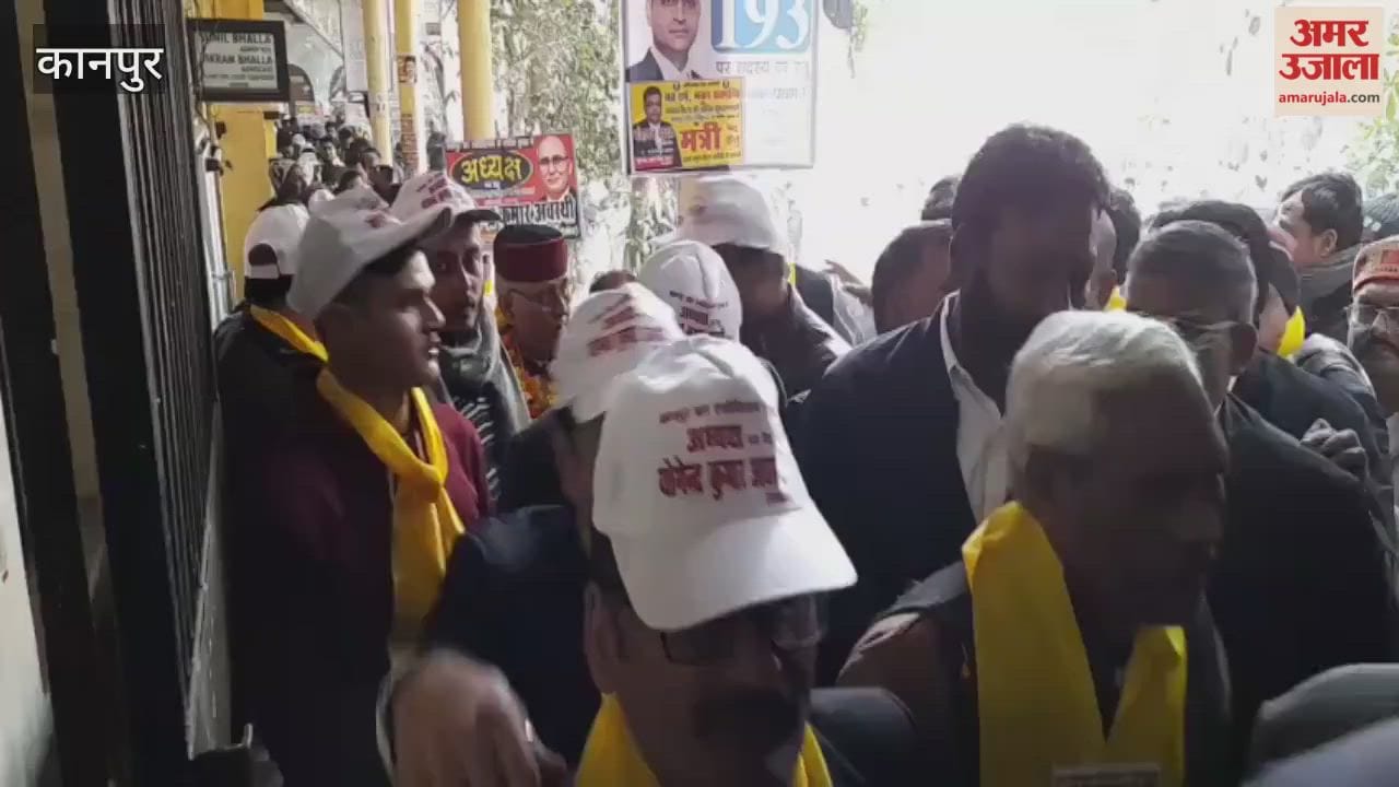 Kanpur: 96 Candidates Enter the Fray in Bar Association Elections