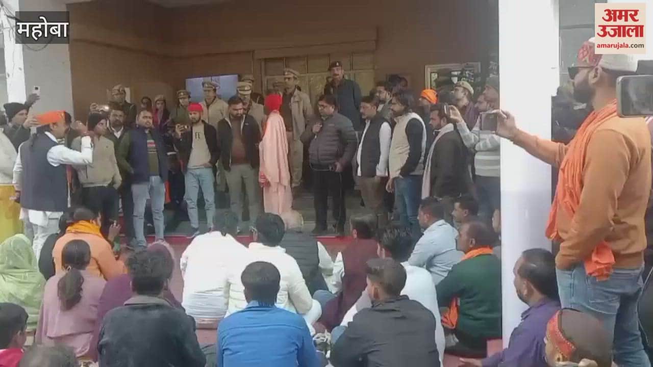 Organizations outraged by the large number of dead cattle found, stage protests