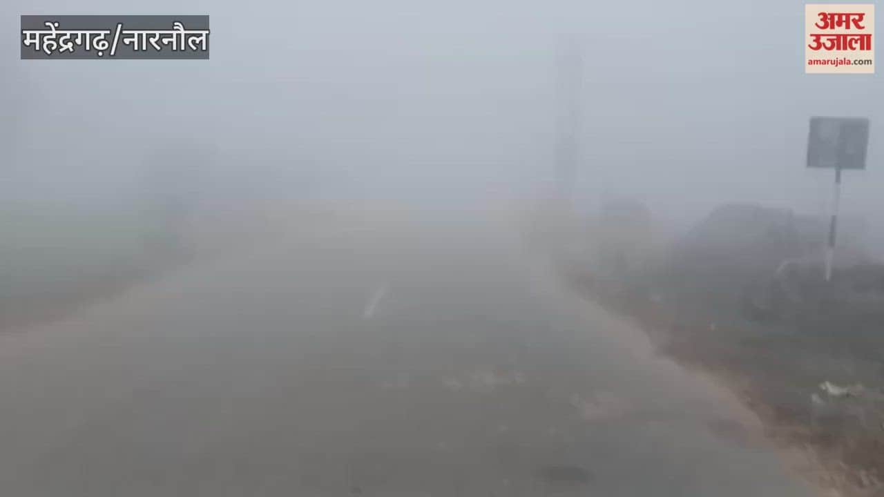In Narnaul, fog slowed down traffic, with visibility remaining less than 10 meters until 10 AM