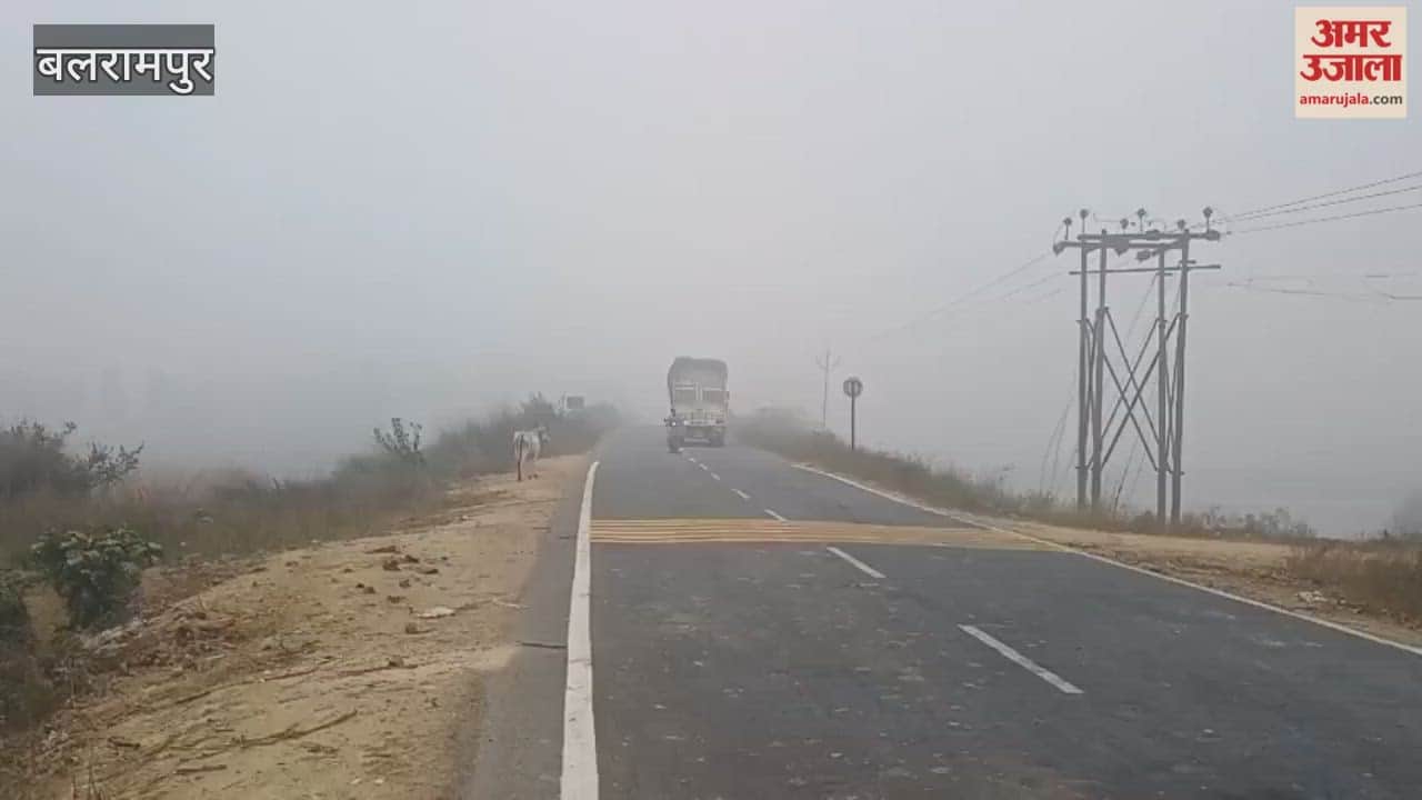 Video: बलरामपुर में कोहरे का सितम, सड़कों पर वाहनों की रफ्तार थमी