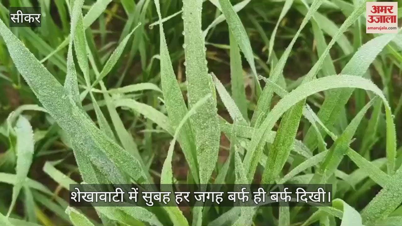 sikar shekhawati cold wave minimum temperature makar sankranti relief