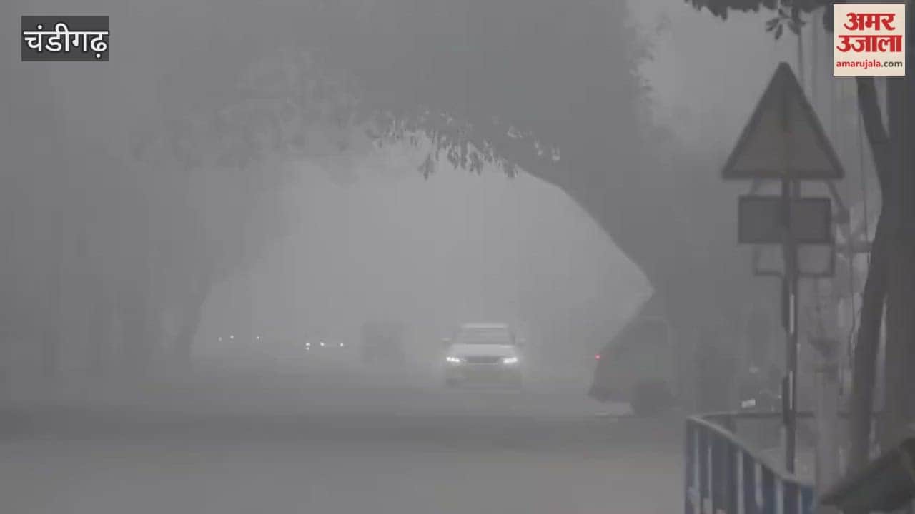 Fog in Chandigarh