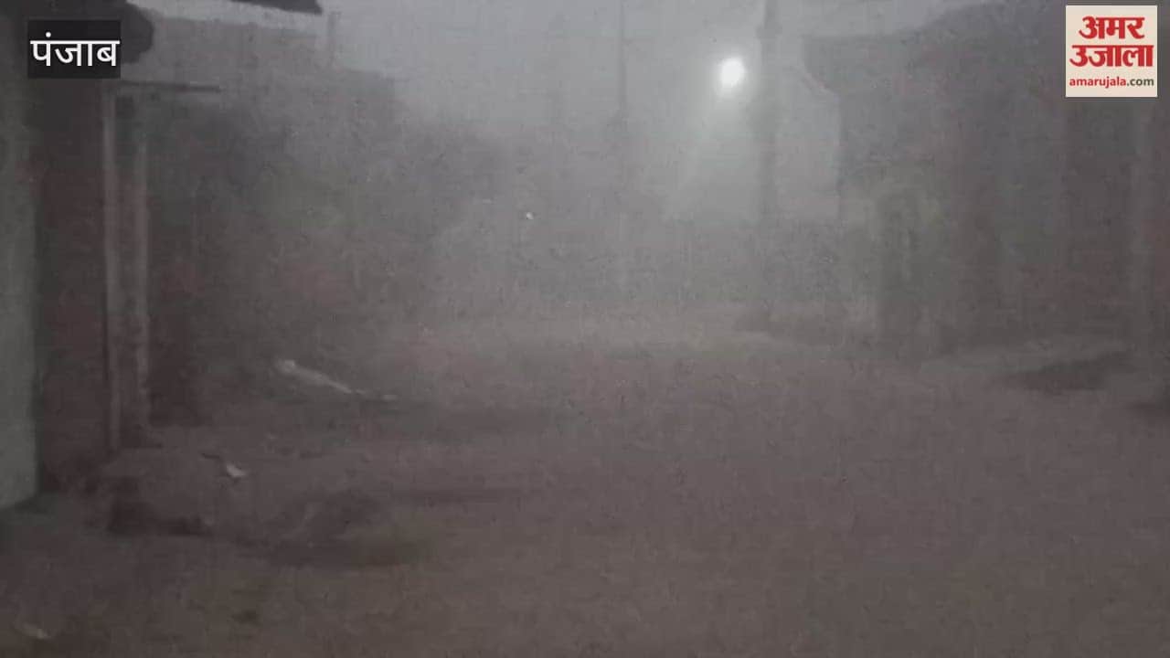 Fog in Moga