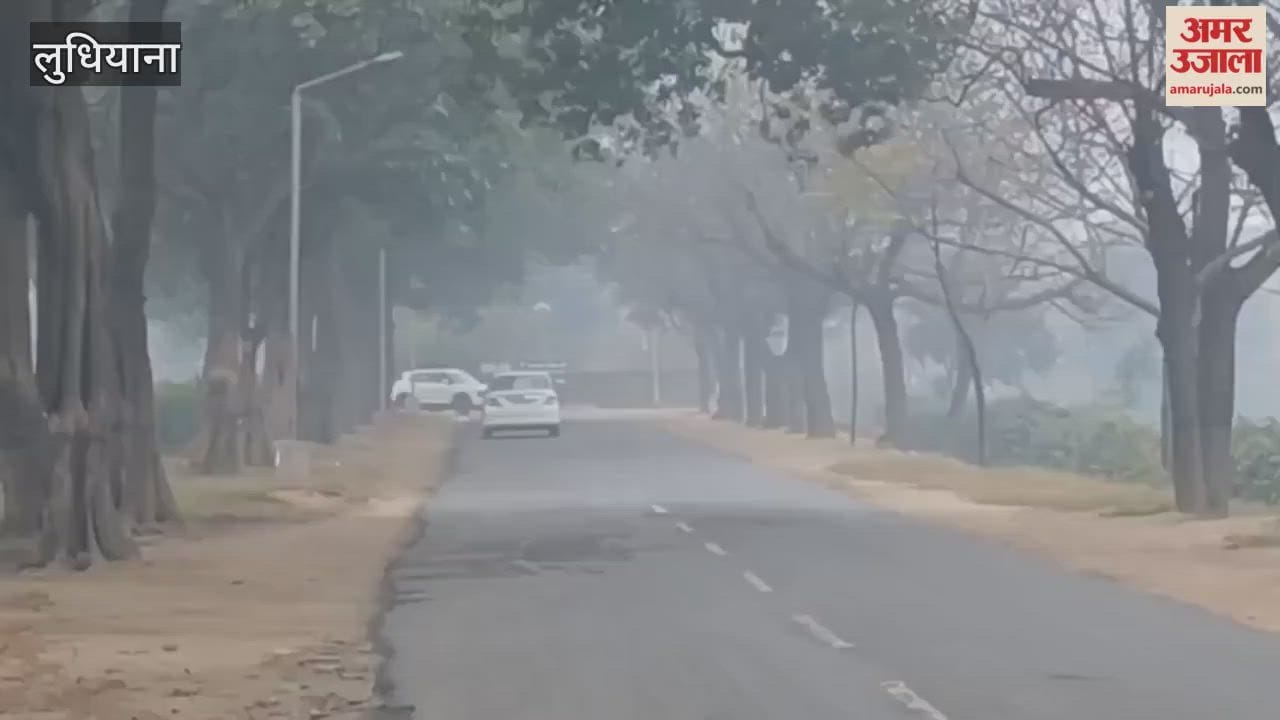 Fog in Ludhiana
