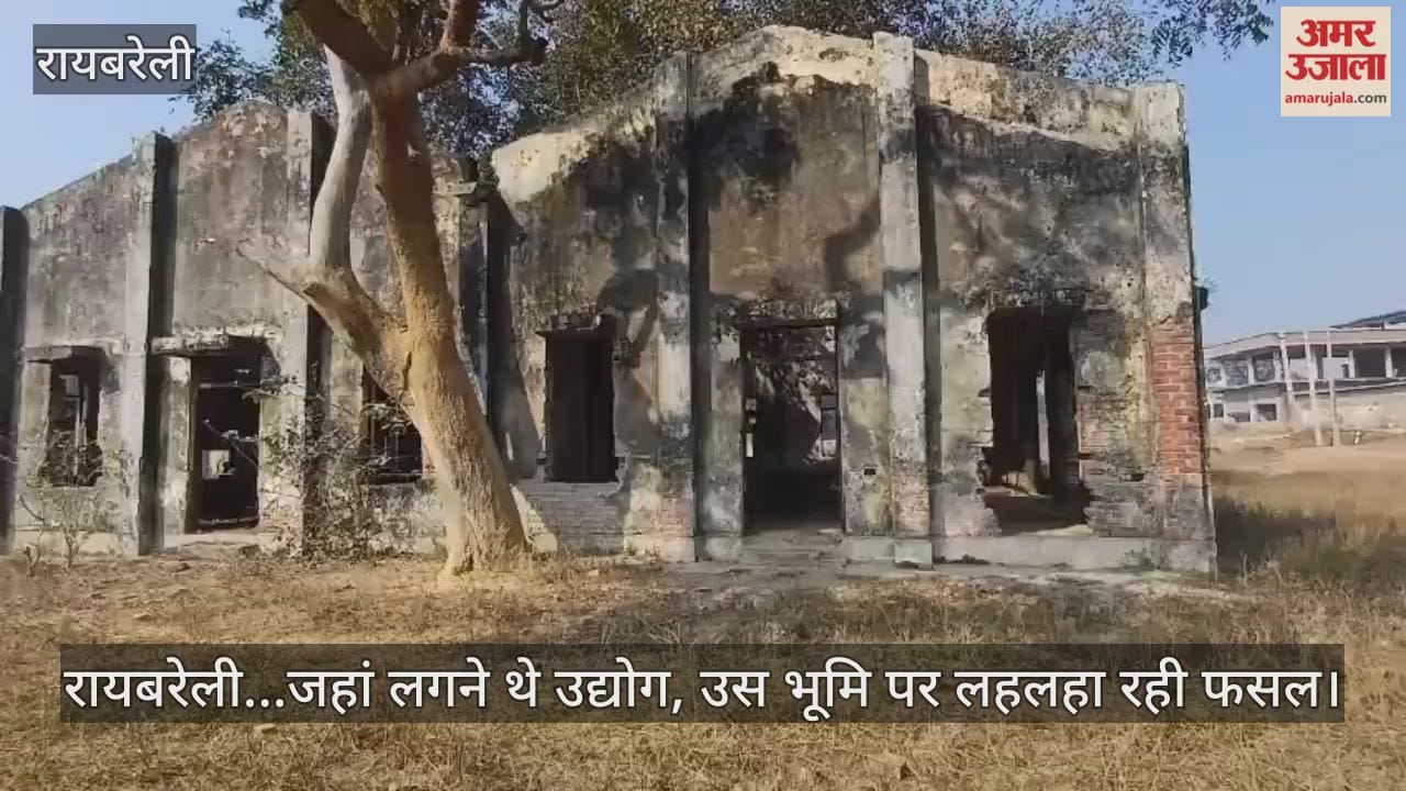 Video: रायबरेली...जहां लगने थे उद्योग, उस भूमि पर लहलहा रही फसल