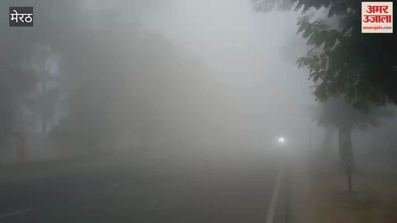 Meerut: Dense fog caused trouble, vehicles passed with lights on