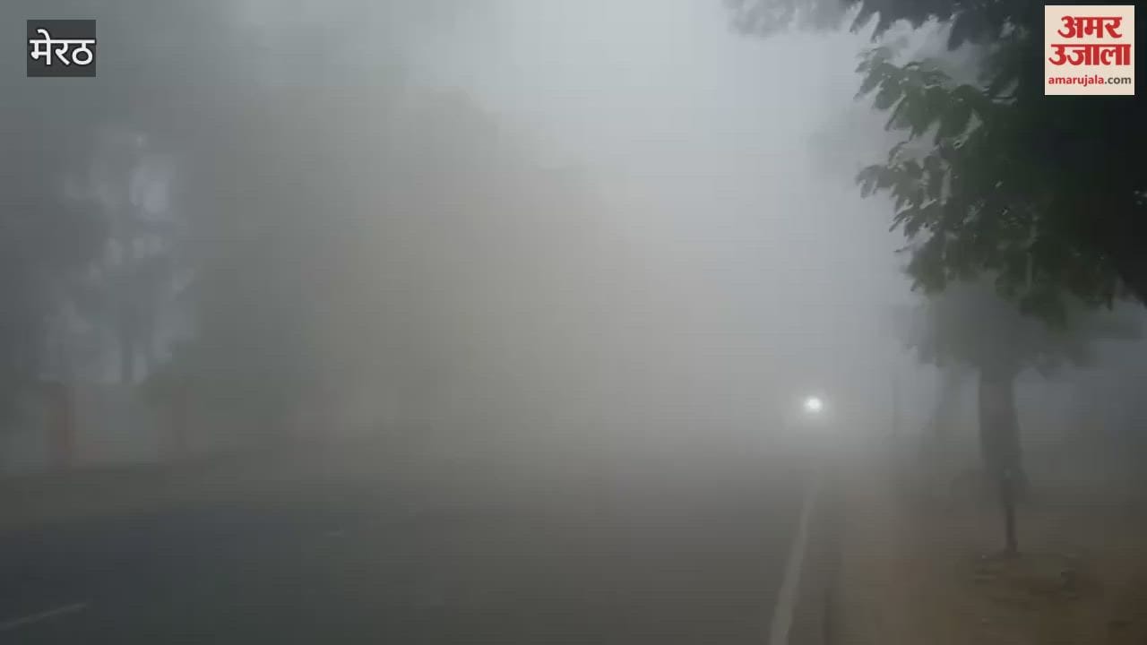 Meerut: Dense fog caused trouble, vehicles passed with lights on