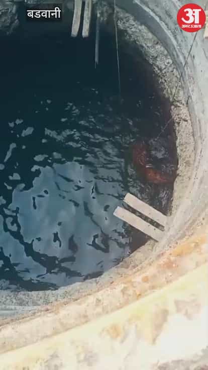 A leopard drowned in a well in Barwani, and the forest department is investigating.