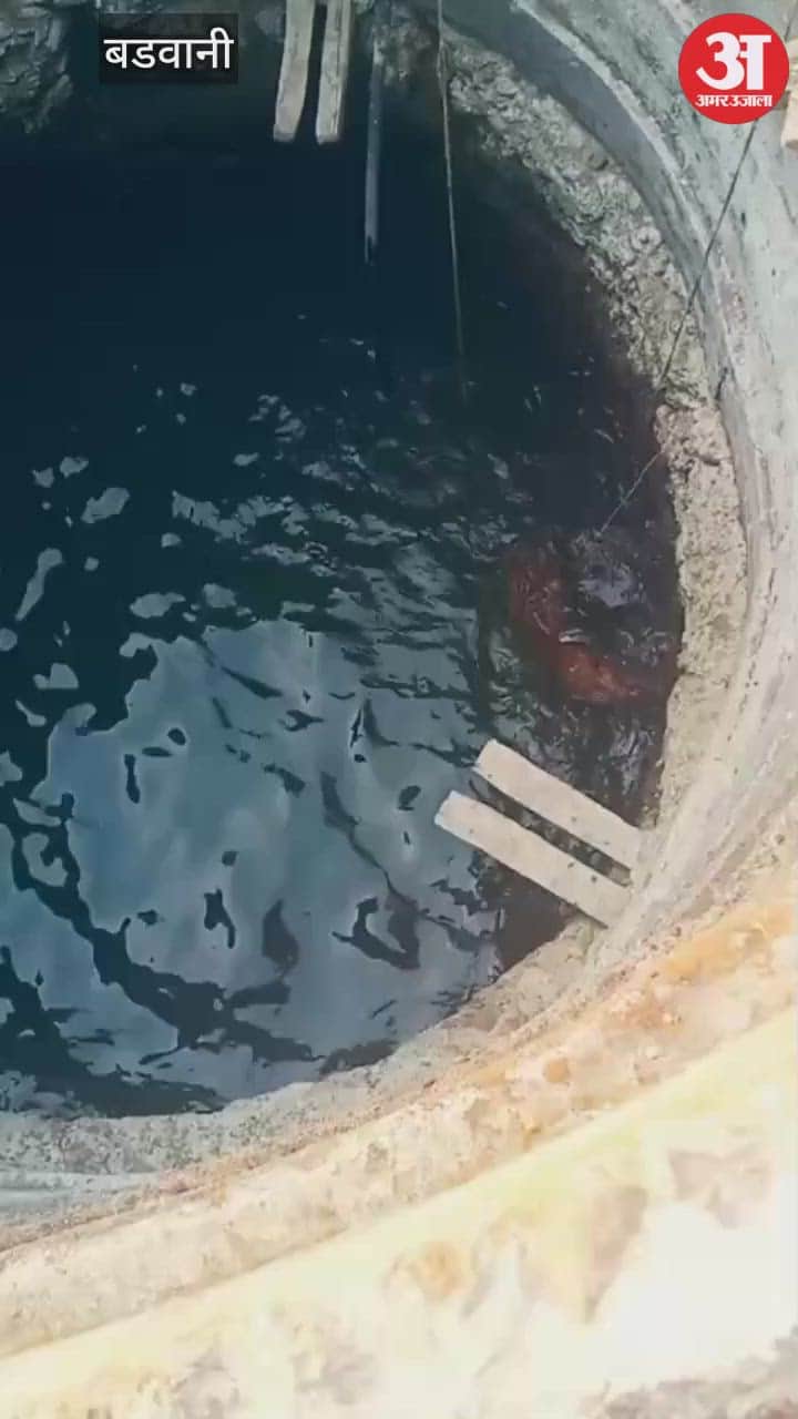 A leopard drowned in a well in Barwani, and the forest department is investigating.