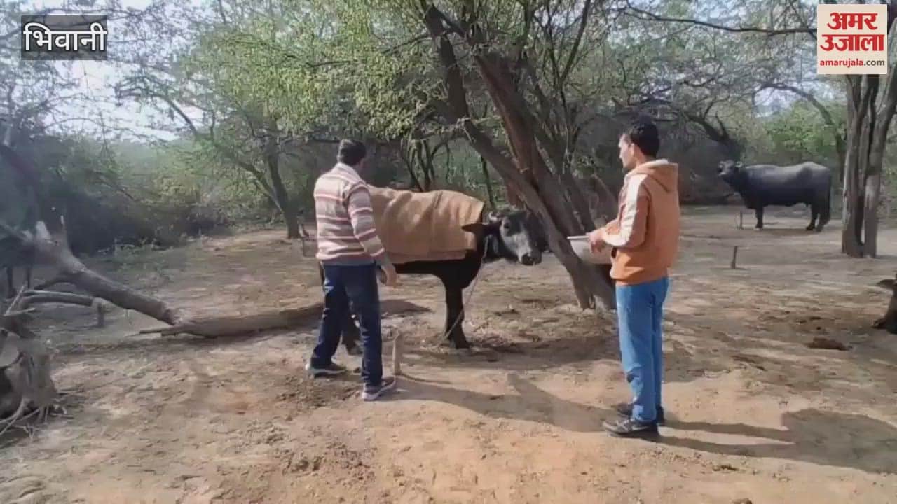 Caring for animals in the cold