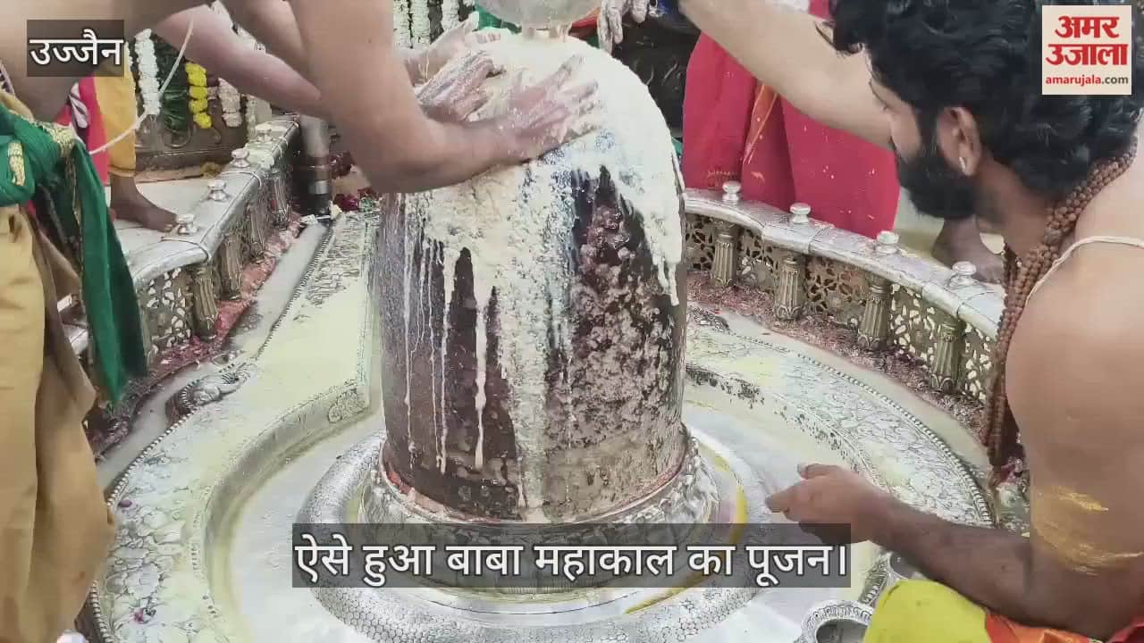 On Shattila Ekadashi, Baba Mahakal was adorned with ashes and offered sesame dishes.