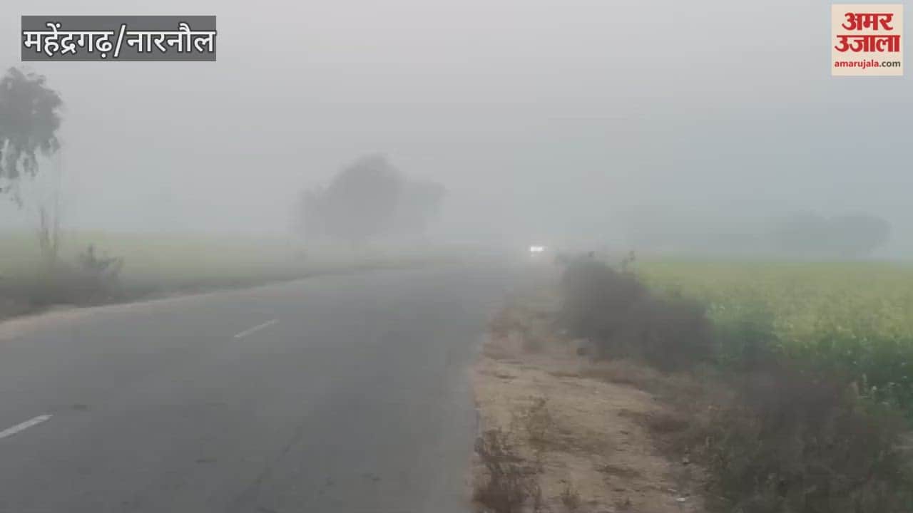 Dense fog returned to Narnaul after two days, reducing visibility to less than 50 meters.