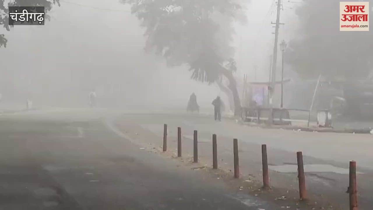 Fog in Chandigarh