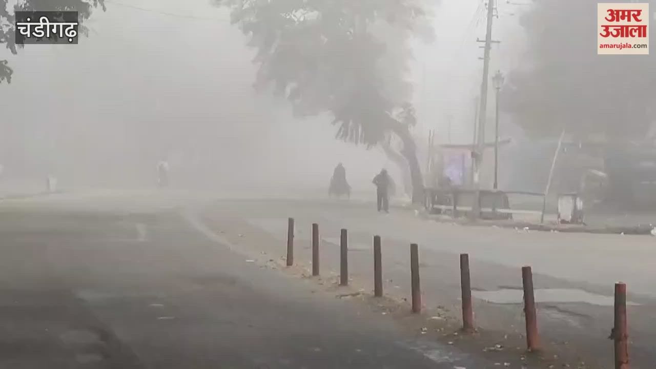 Fog in Chandigarh