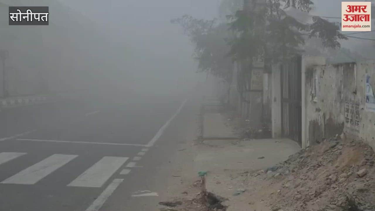 Sonipat experiences dense fog and biting cold, with the mercury dropping to 0.4 degrees Celsius