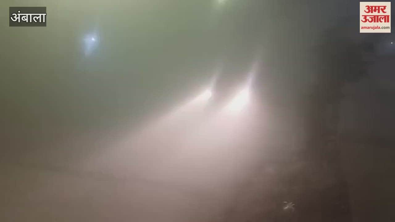 Fog slows down buses in Ambala; buses are running up to three hours late