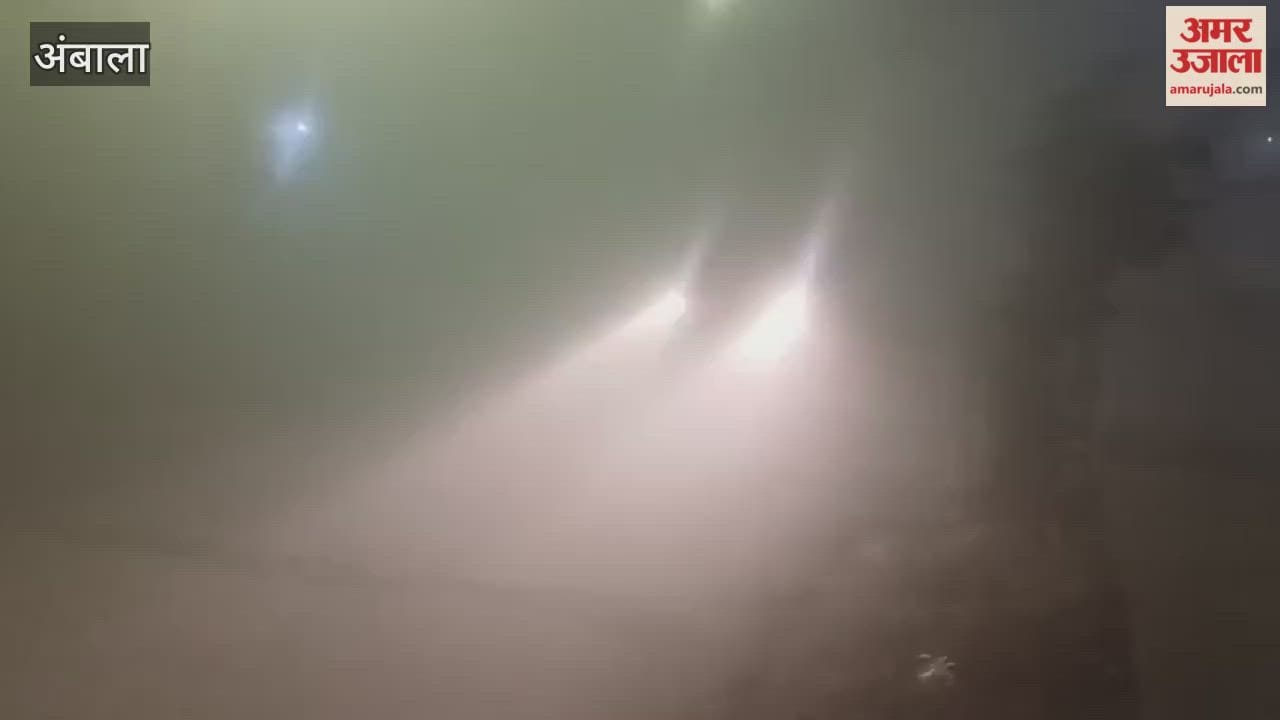 Fog slows down buses in Ambala; buses are running up to three hours late