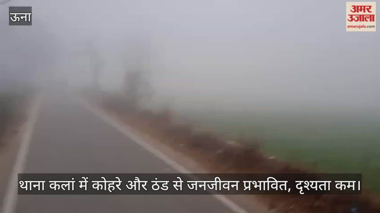 Fog and cold affect life in Thana Kalan, visibility reduced