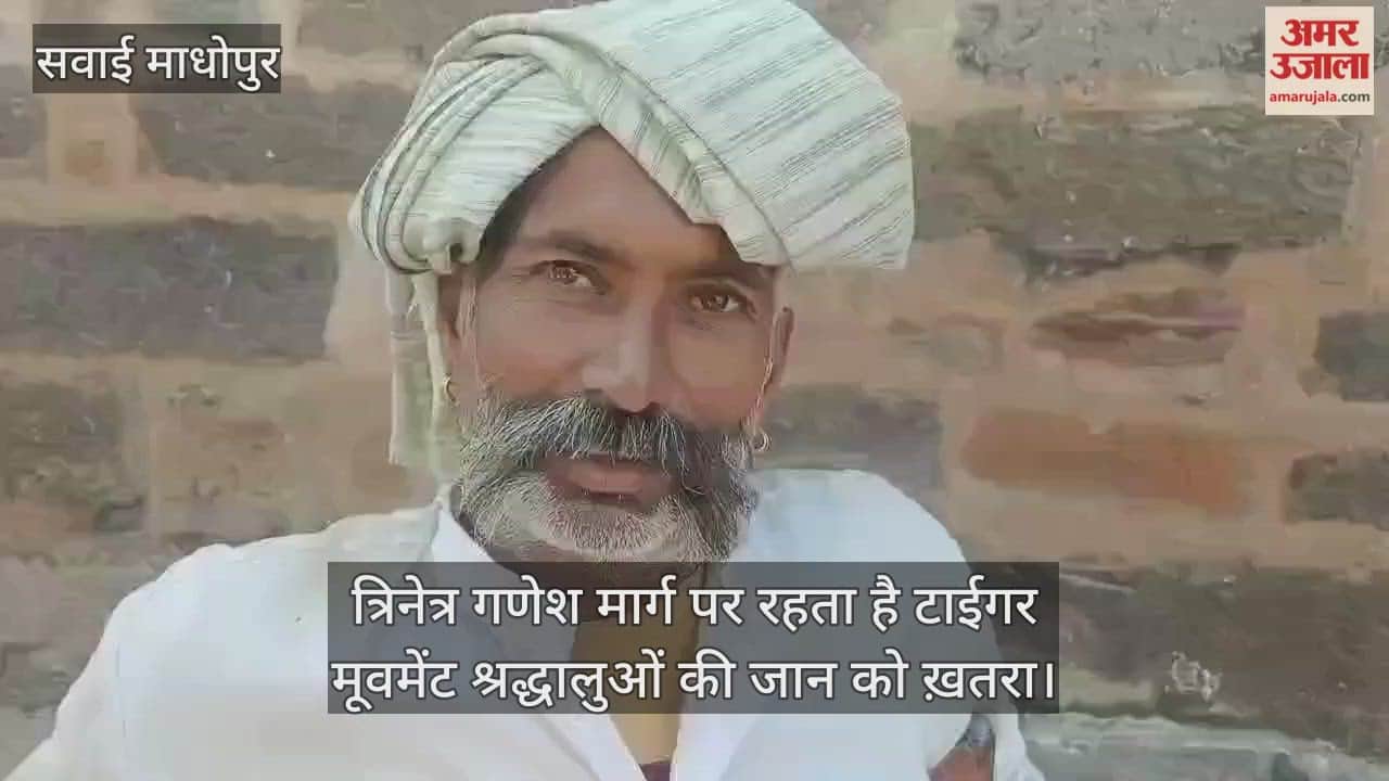 A tiger movement has been reported on the Trinetra Ganesh road, posing a threat to the lives of devotees