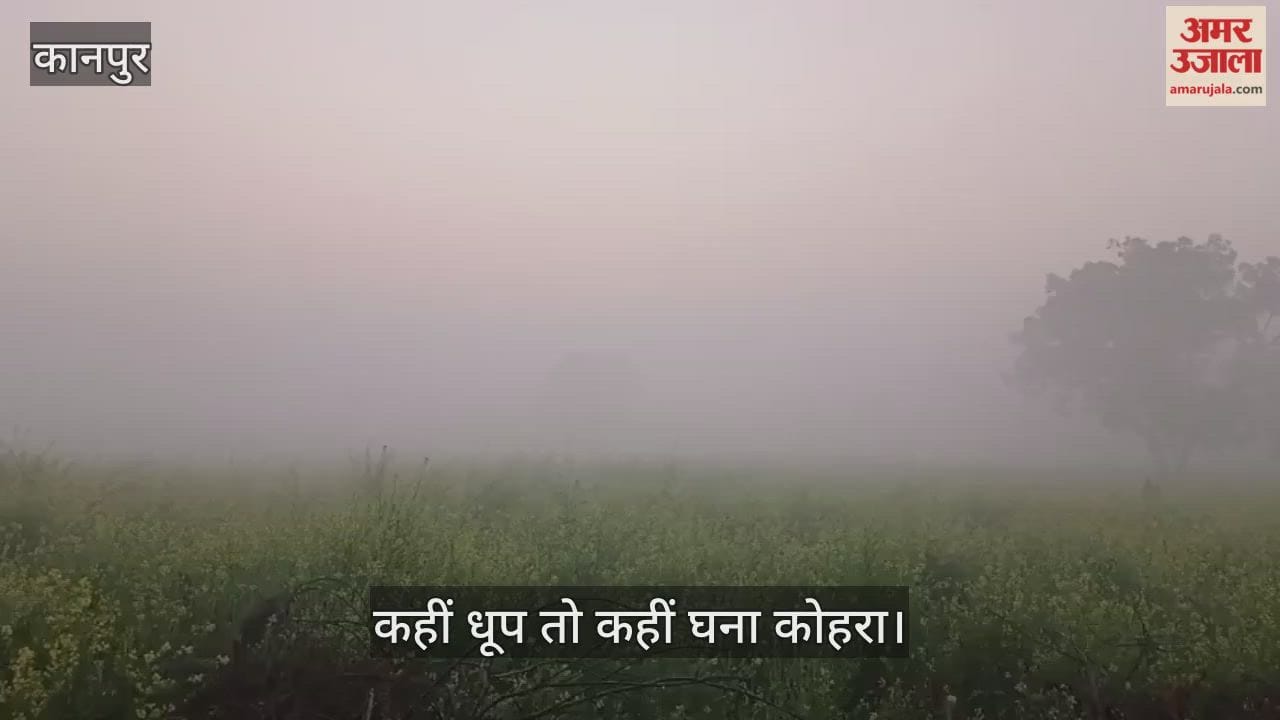 कानपुर में मौसम का मिजाज: अब सता रहा पॉकेट फॉग, कोहरे के घेरे ने बढ़ाई ड्राइवरों की मुश्किल