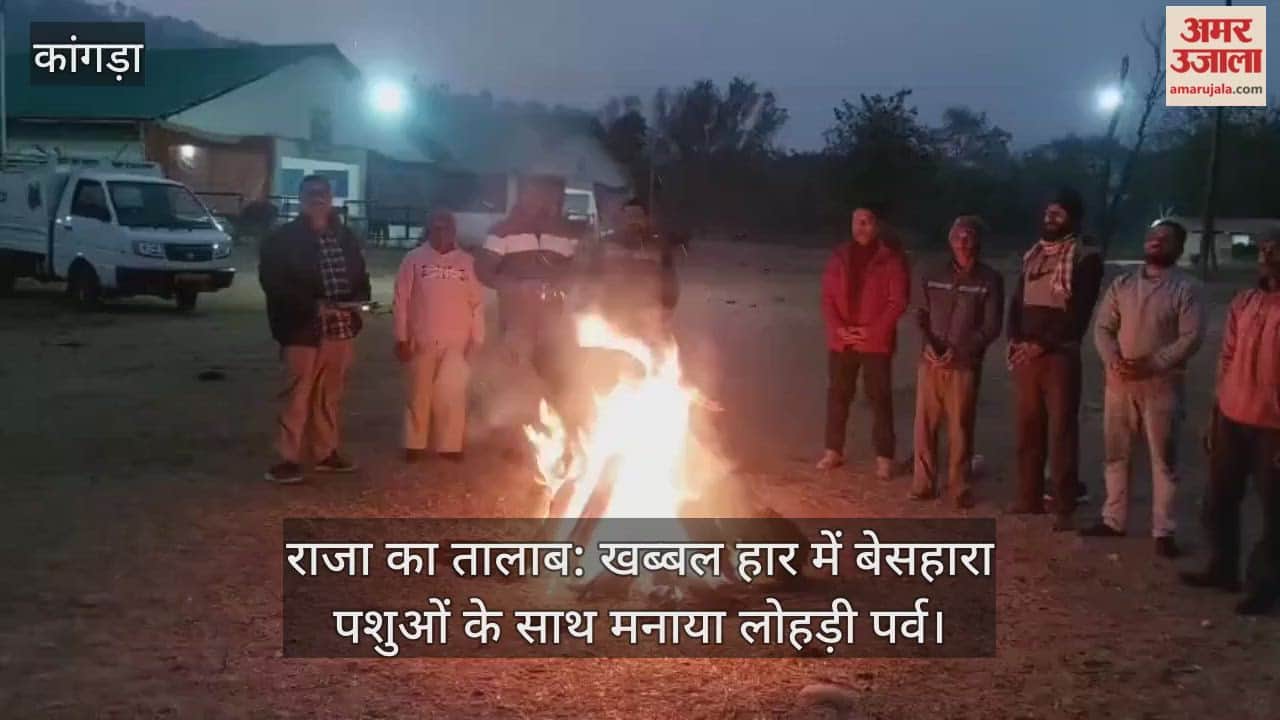 Raja Ka Talab: Lohri festival celebrated with destitute animals in Khabbal Haar