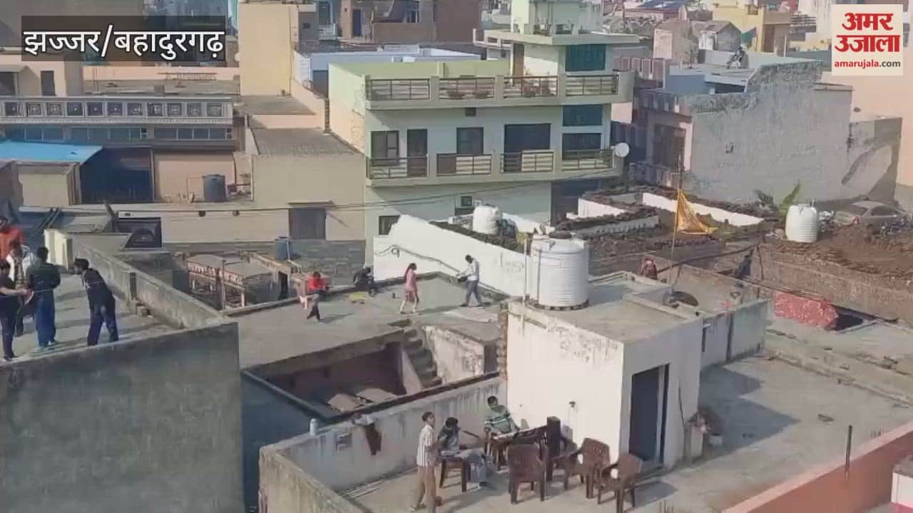 Kite flying took place on a large scale in Jhajjar on Makar Sankranti