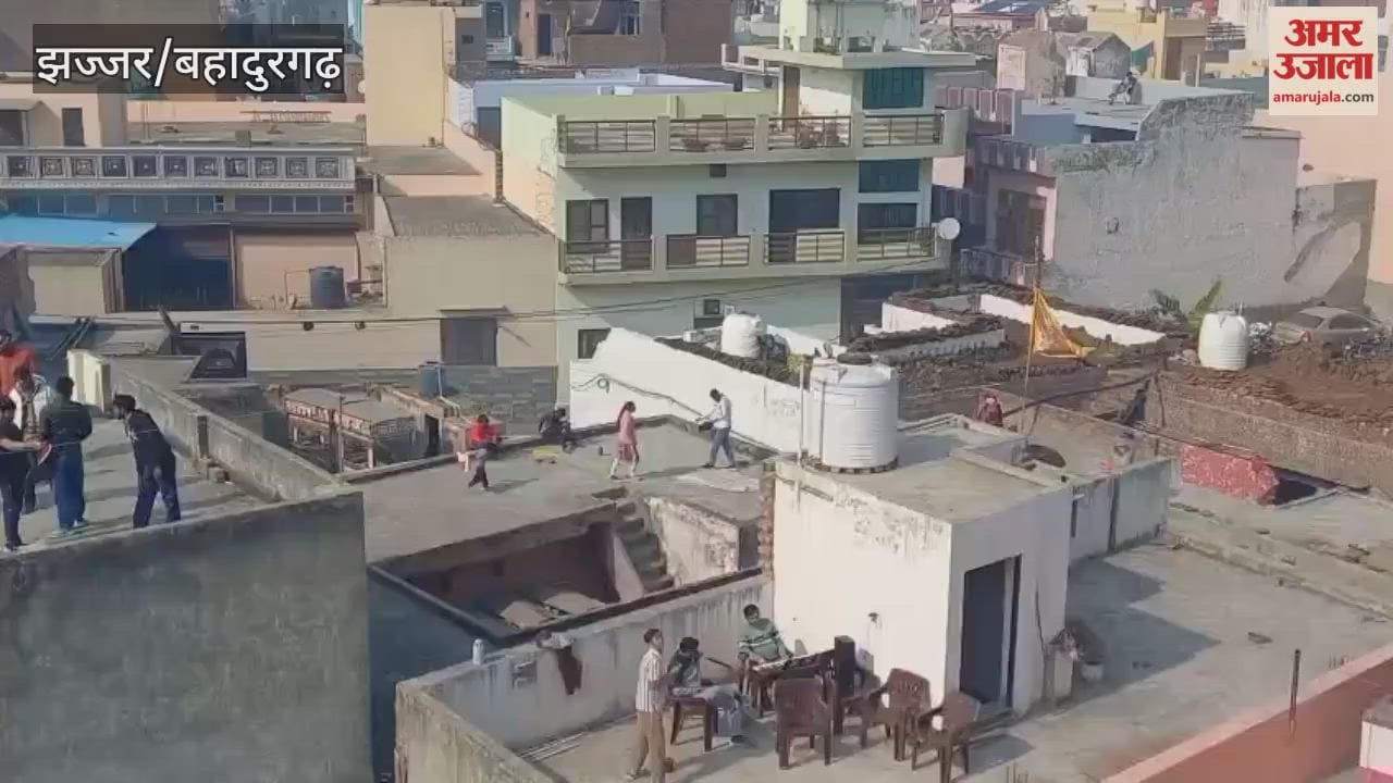 Kite flying took place on a large scale in Jhajjar on Makar Sankranti
