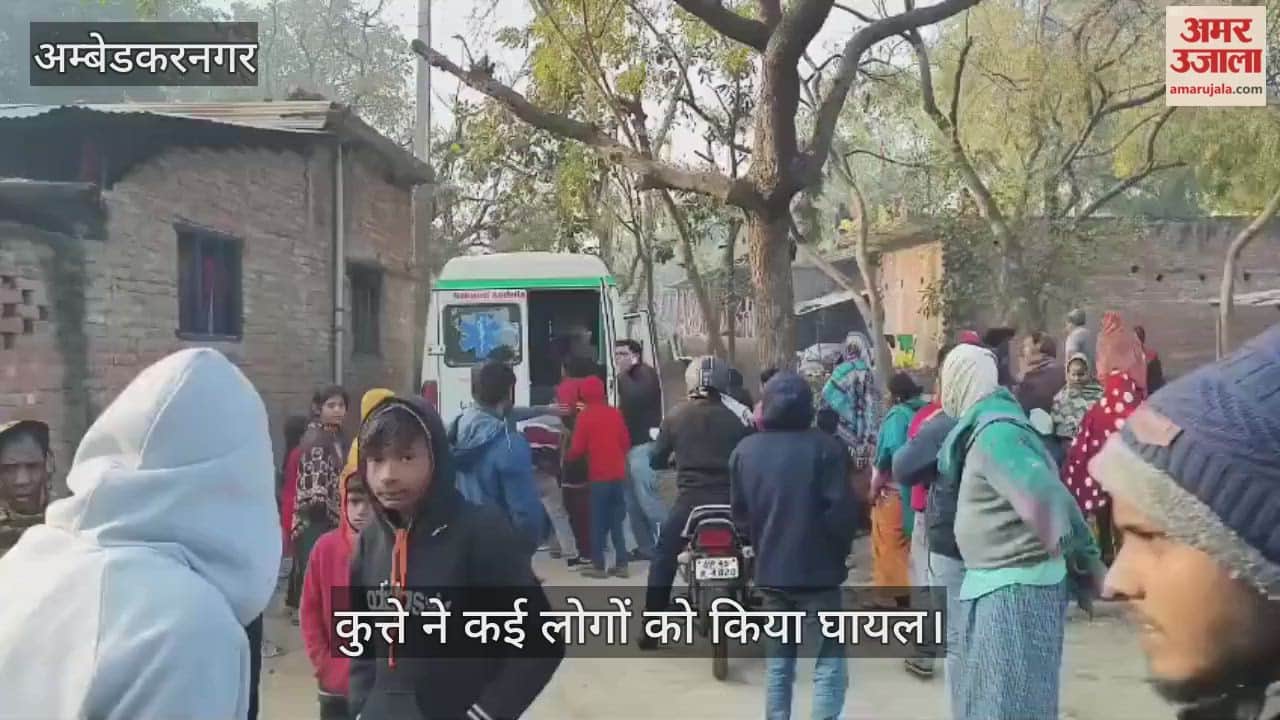 VIDEO: जलालपुर के मंगुराडिला गांव में कुत्ते का हमला, कई लोग घायल