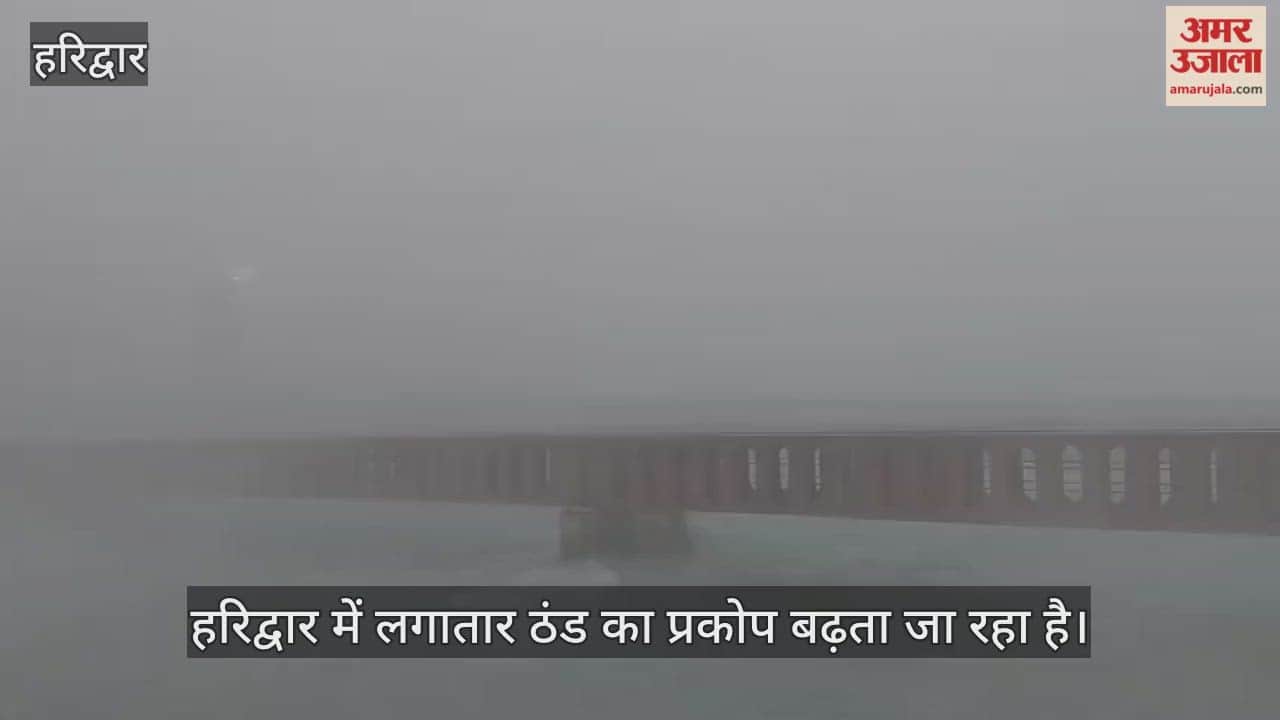 Cold wave in Haridwar is intensifying continuously Uttarakhand news in hindi