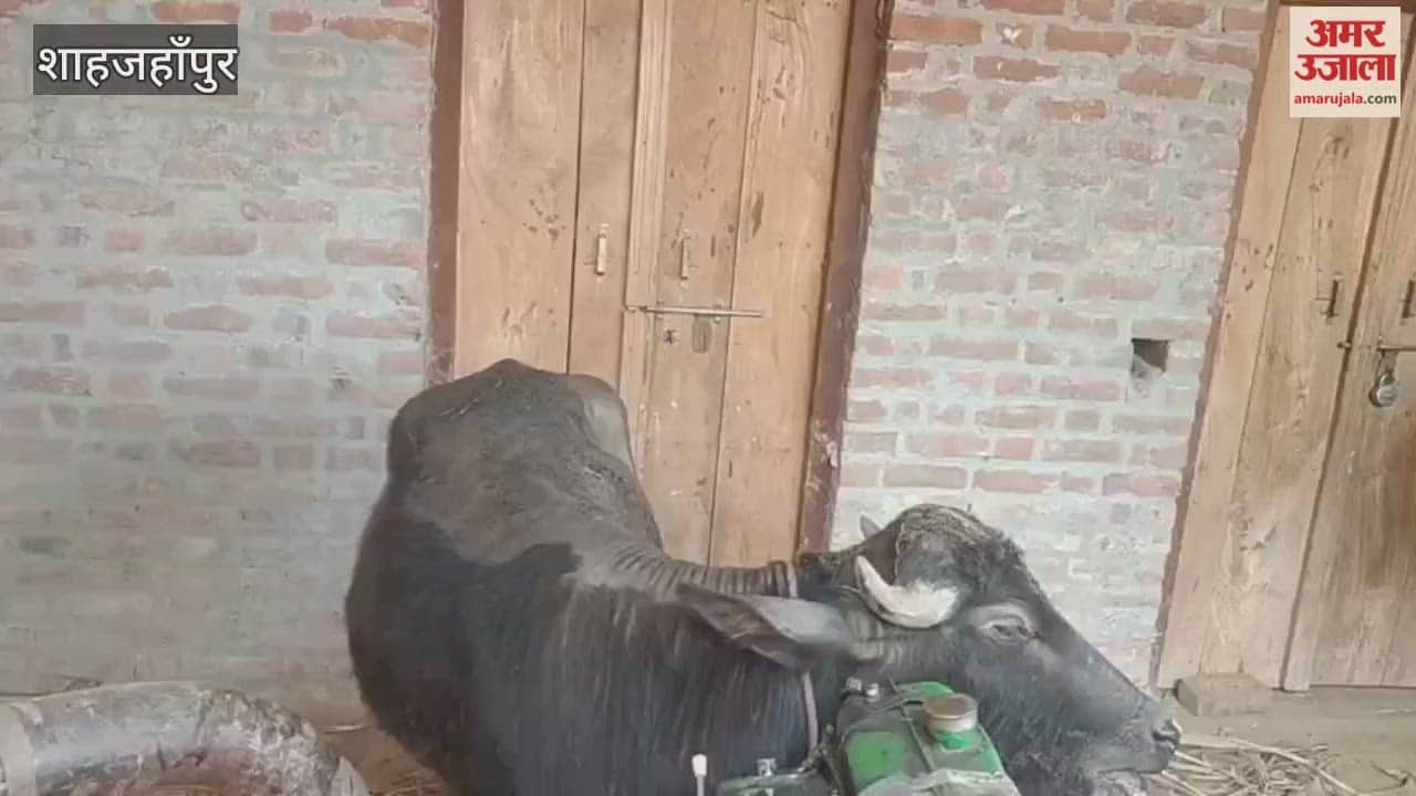 fire broke out in the hut of the house in Shahjahanpur