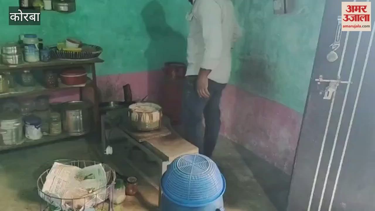 cobra was found sitting with its hood spread in kitchen at korba