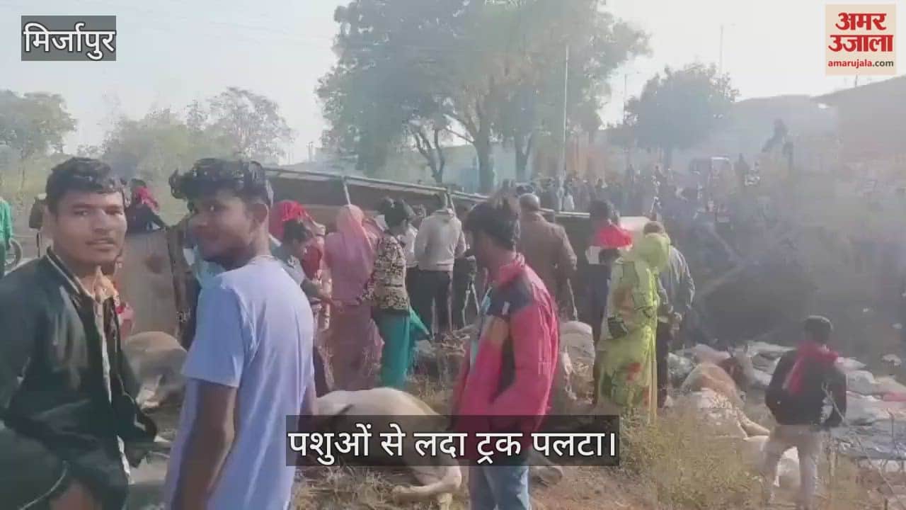 truck overturned carrying cattle killing 14 cows in mirzapur