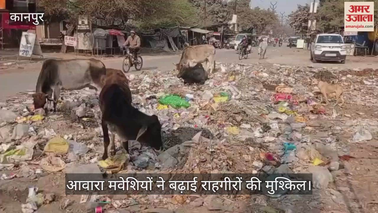 कानपुर: पनकी पड़ाव रोड पर गंदगी का अंबार, सड़क किनारे बना मिनी कूड़ा घर