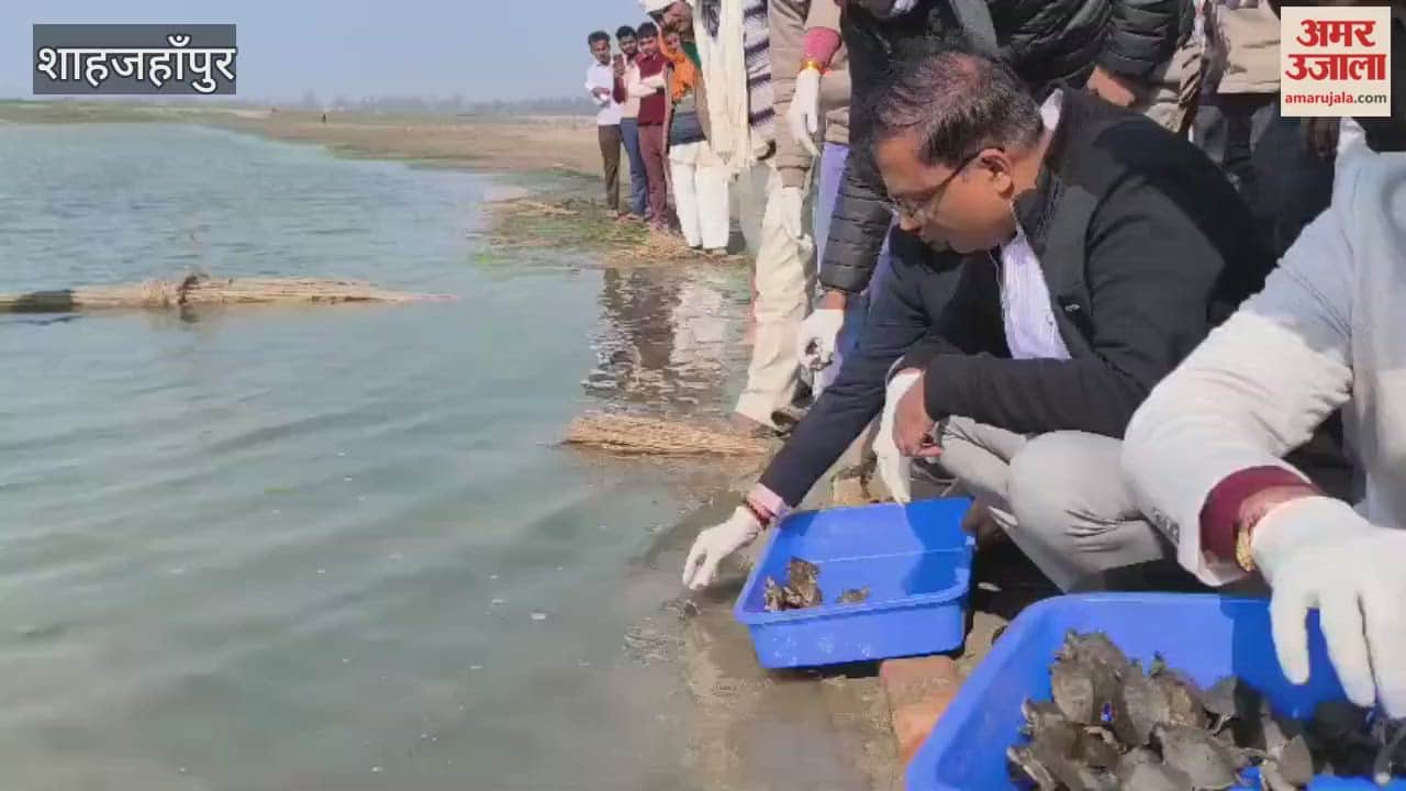 DM and DFO released 555 turtles into the Ramganga river in Shahjahanpur