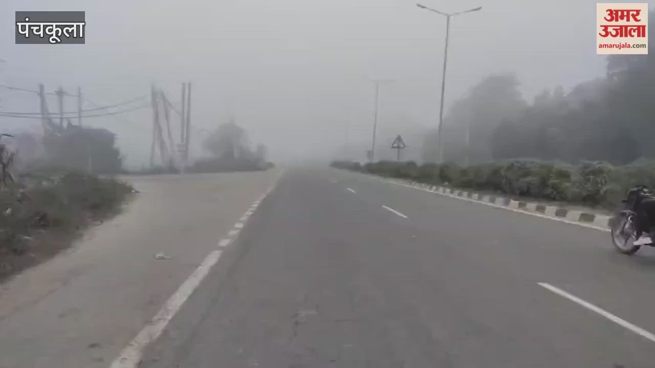 Dense fog in Panchkula caused problems for drivers.