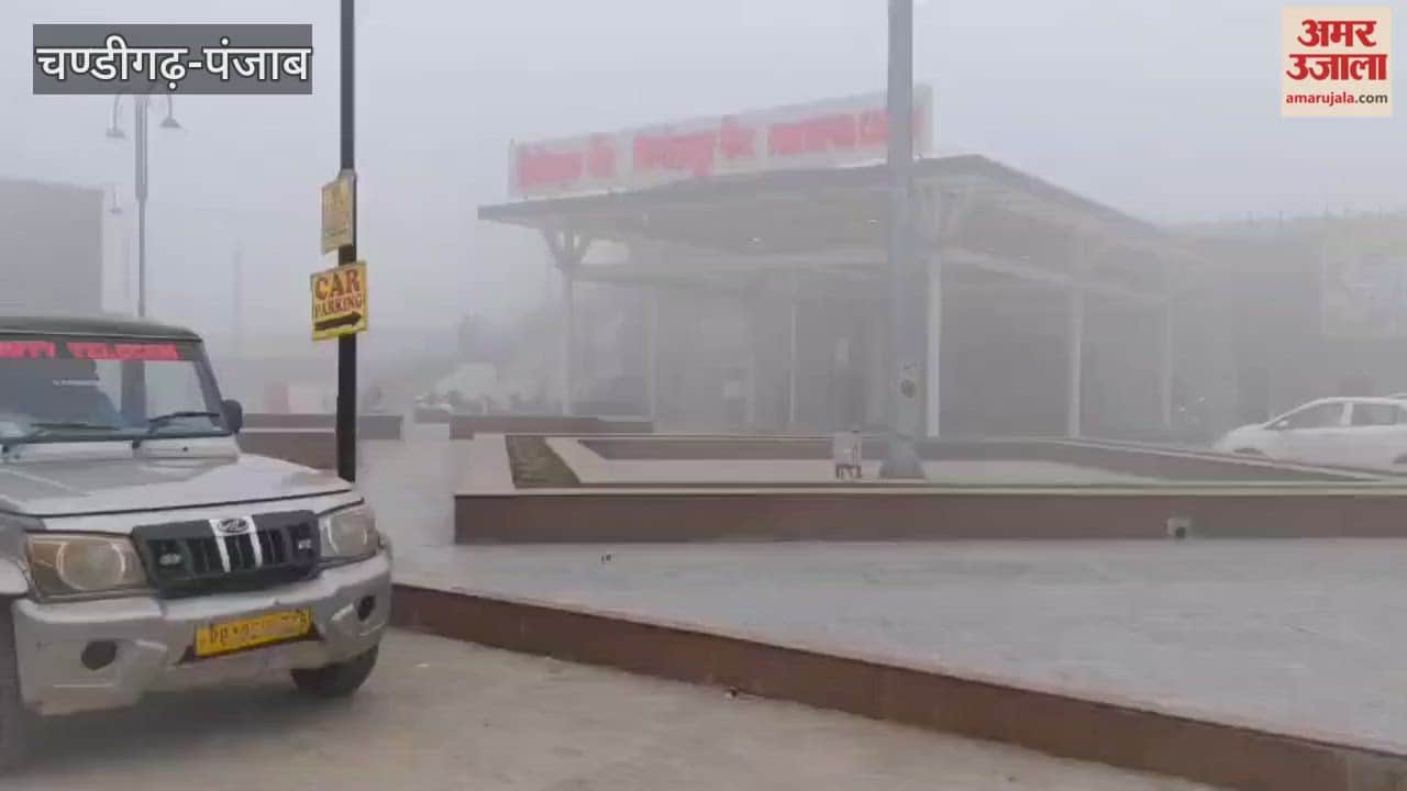 Trains slowed down in Firozpur due to fog.