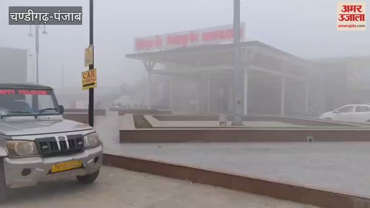 Trains slowed down in Firozpur due to fog.
