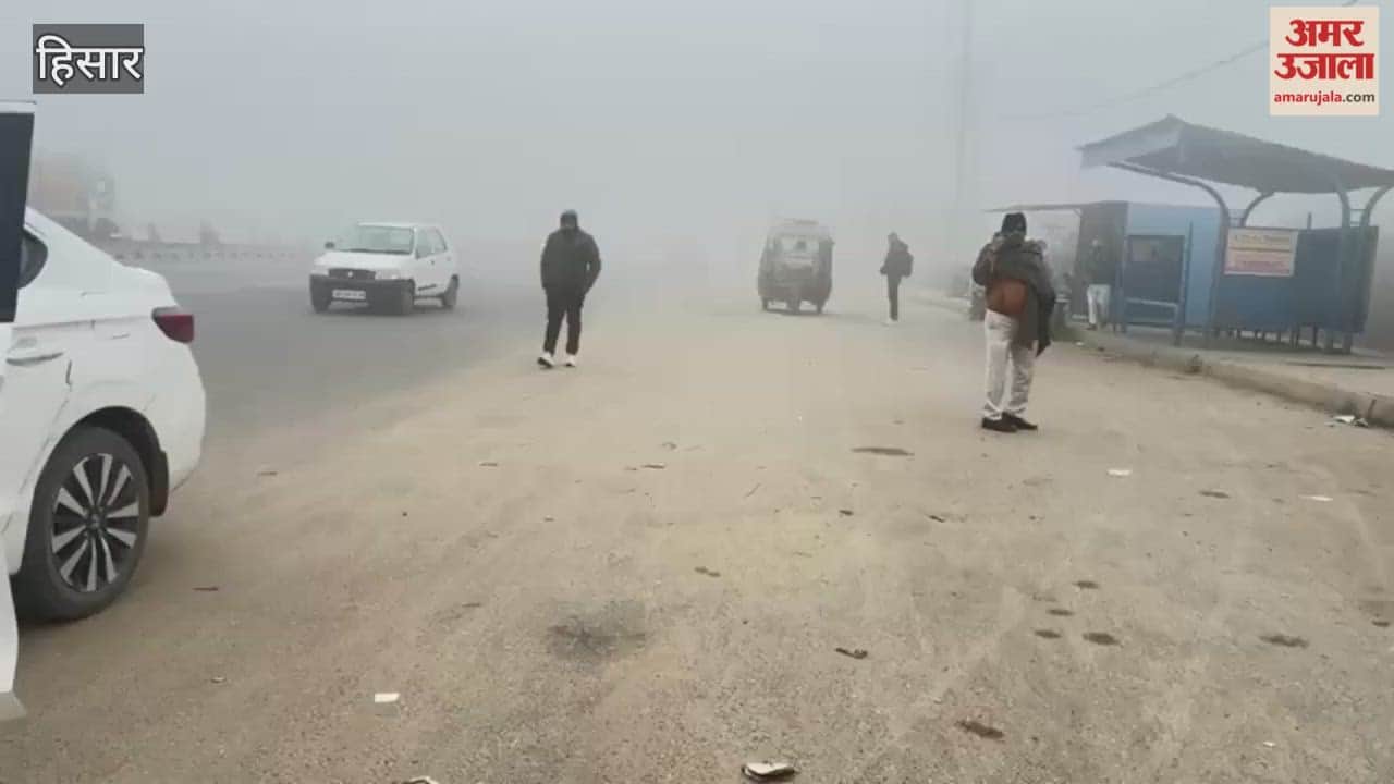 Dense Fog in Hisar