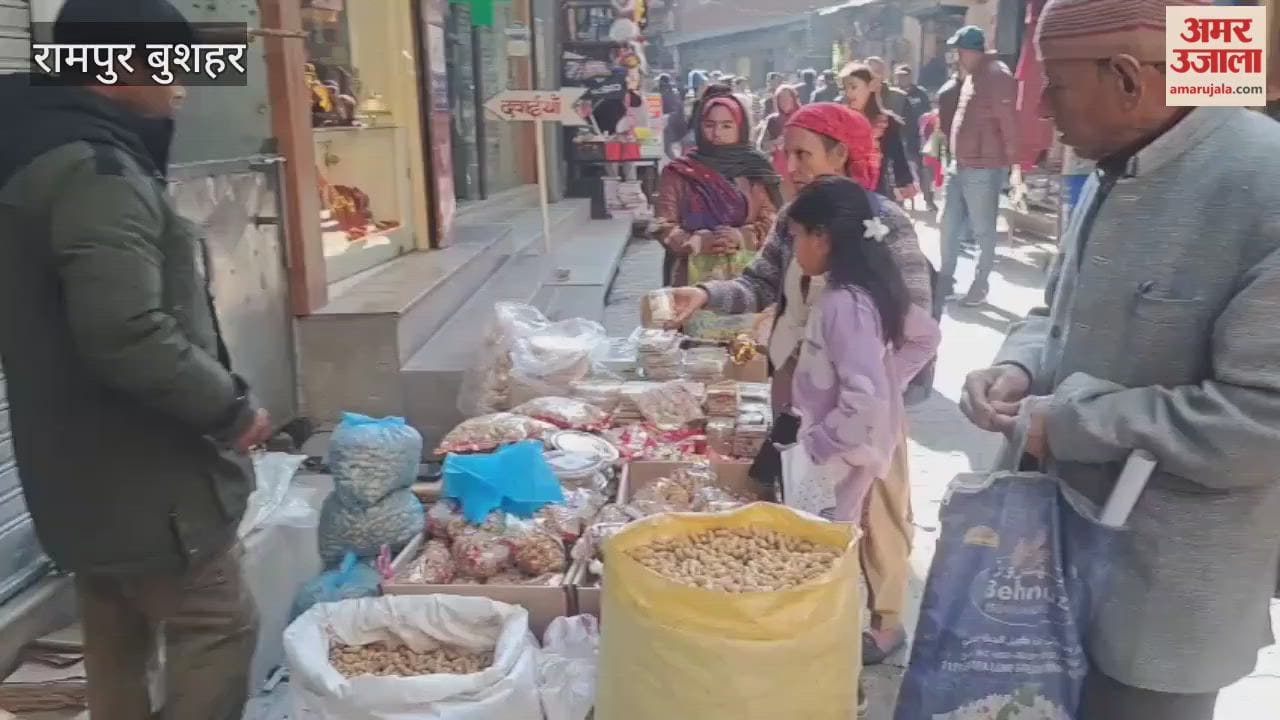 Rampur Bushahr Lohri and Makar Sankranti festival increased in Rampur market