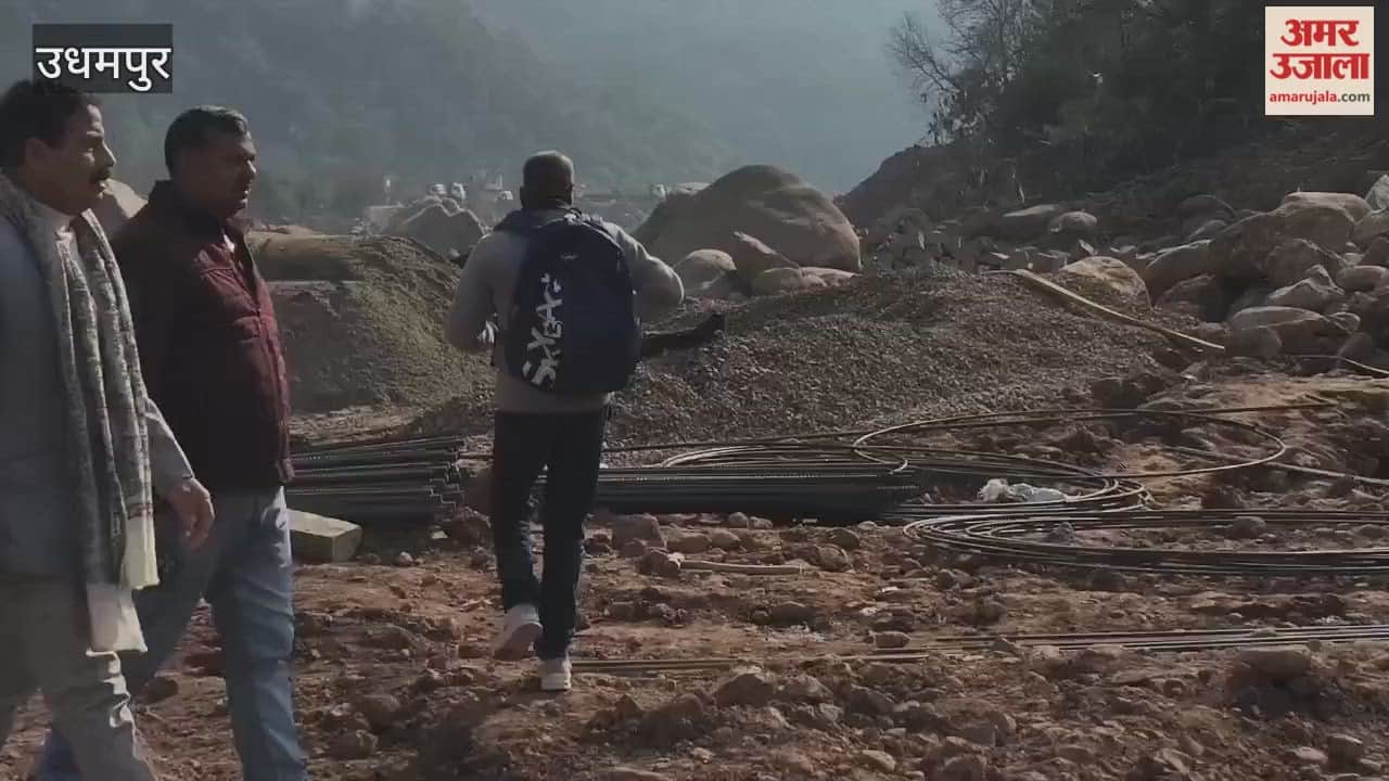 MLA Balwant Singh Mankotia inspected the Salameh bridge.