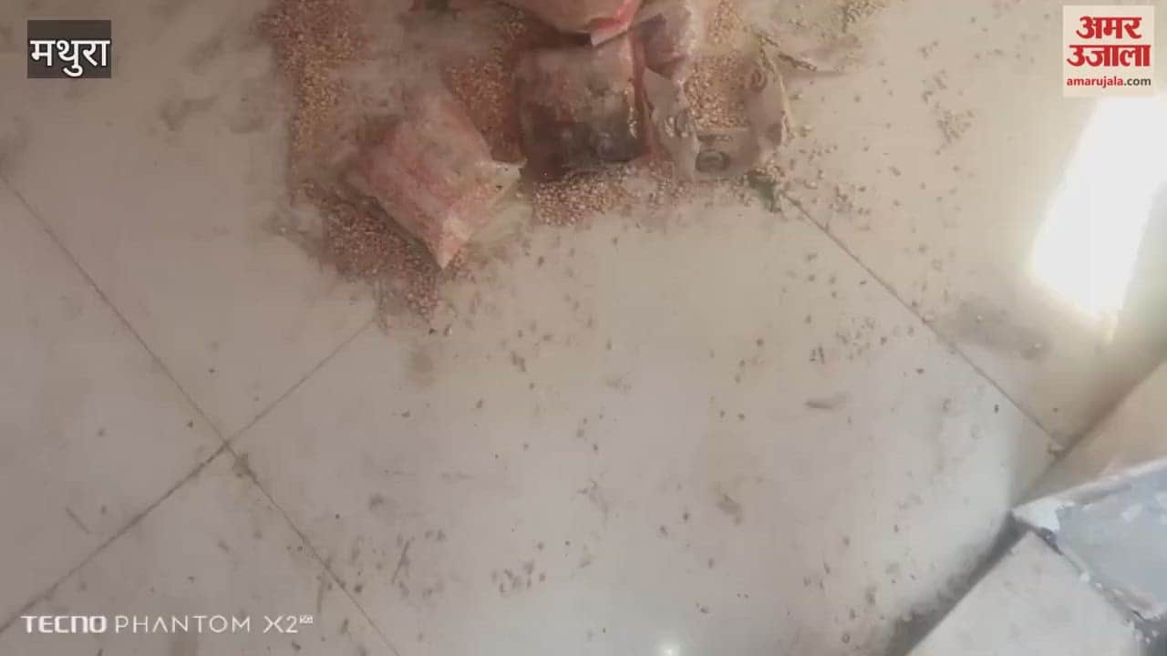 Worm-infested foul-smelling nutritional food was distributed at Anganwadi center