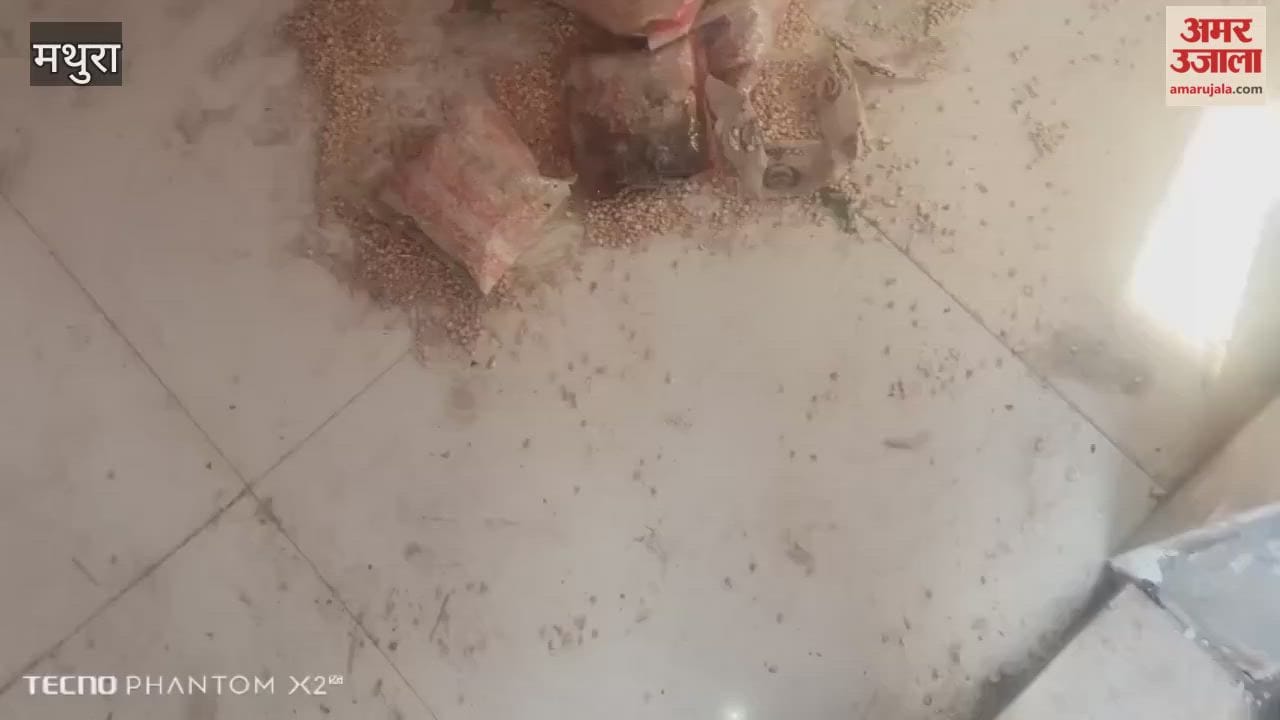 Worm-infested foul-smelling nutritional food was distributed at Anganwadi center