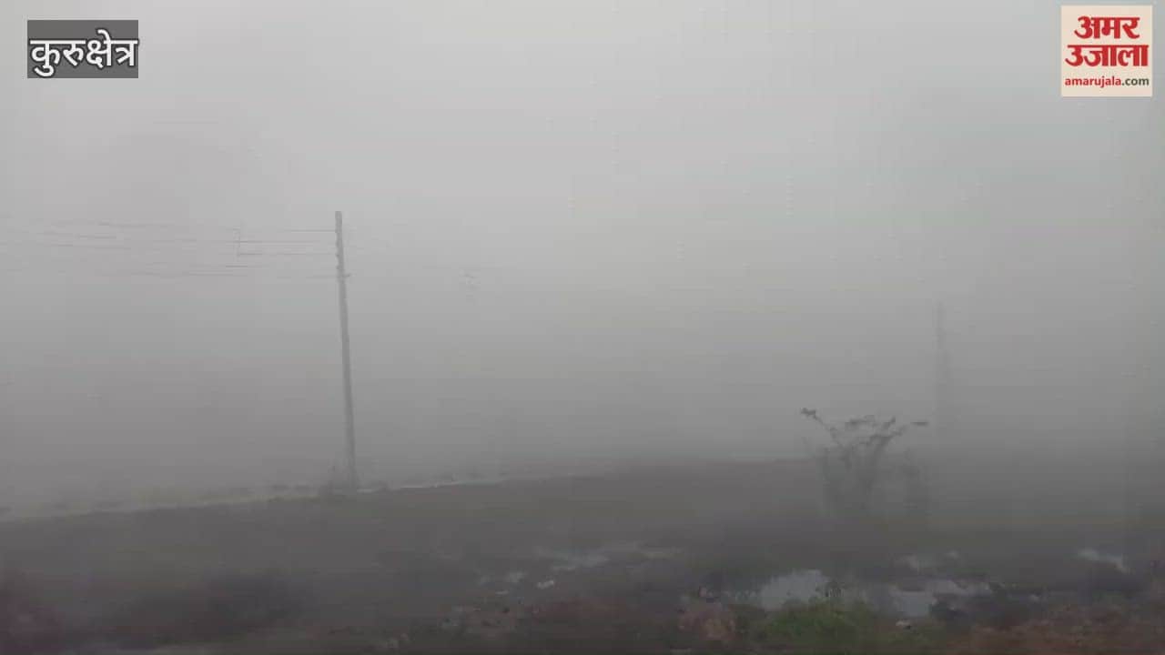 In Kurukshetra, visibility was near zero even at 8:00 AM, with vehicles crawling on the roads