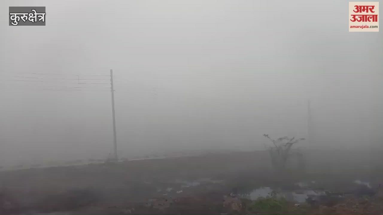 In Kurukshetra, visibility was near zero even at 8:00 AM, with vehicles crawling on the roads
