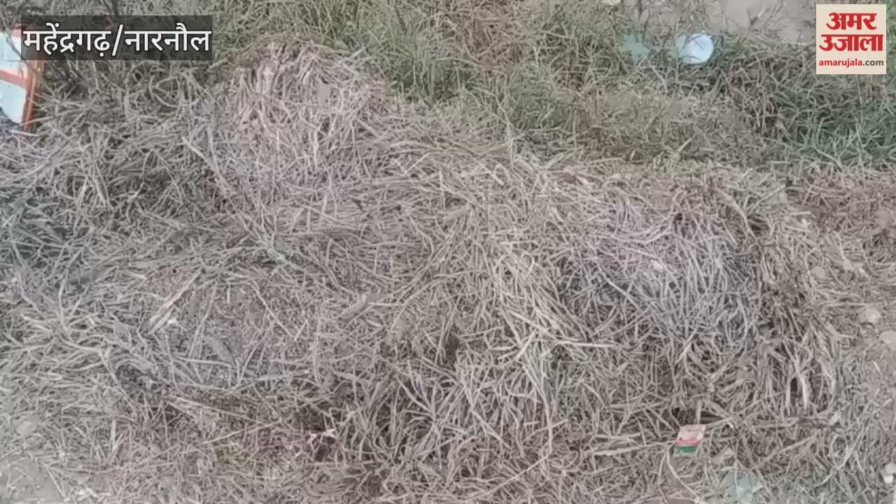 There is no relief from the cold in Narnaul; light frost was observed again today