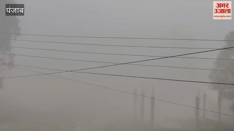 फगवाड़ा में घनी धुंध