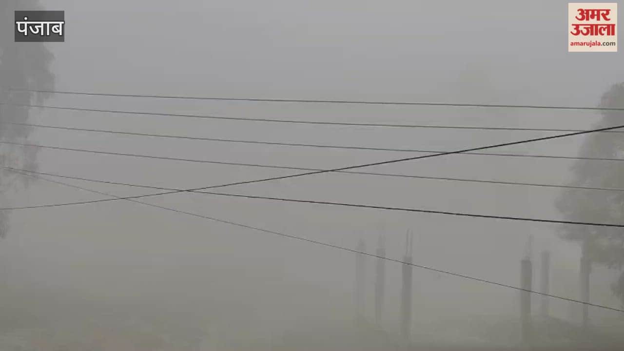 Dense fog in Phagwara