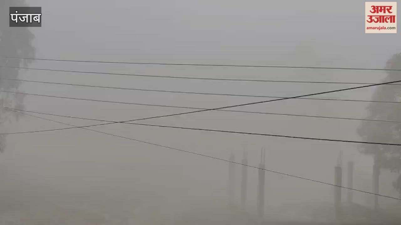 Dense fog in Phagwara