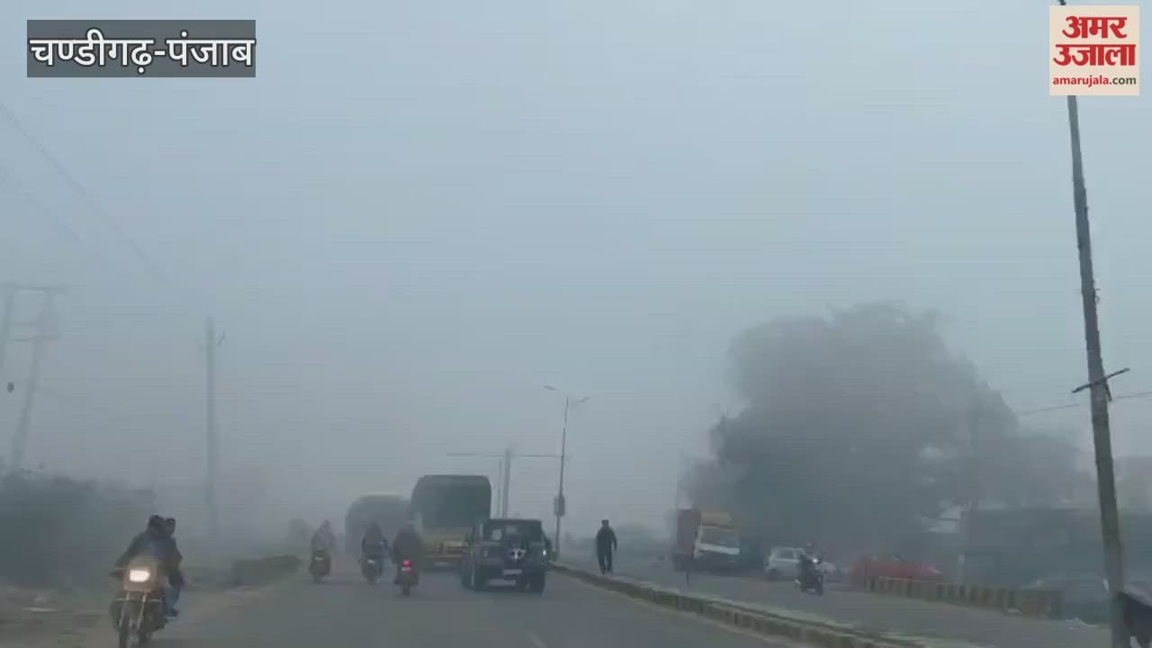Fog in Chandigarh