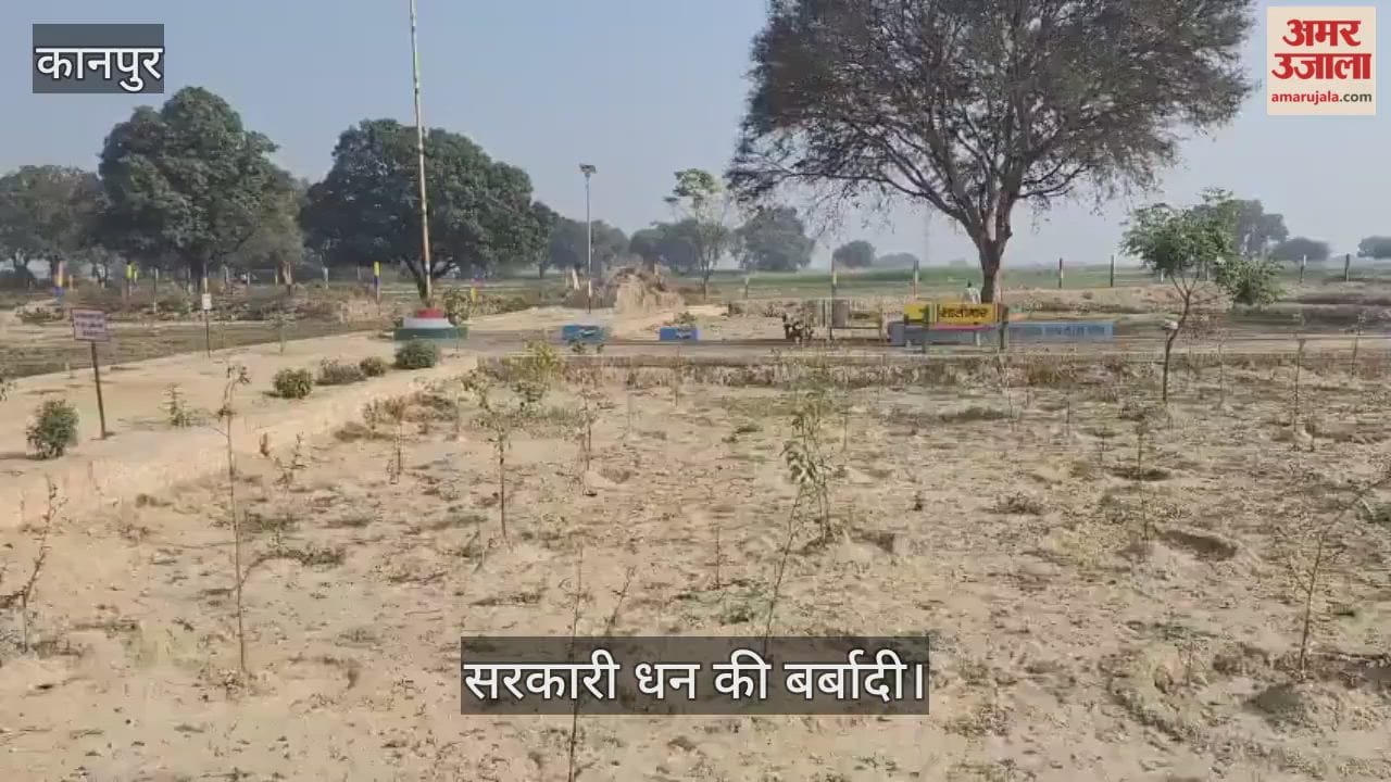 कानपुर: लापरवाही की भेंट चढ़े शालीमार बाग के हरे-भरे पौधे; लाखों का बजट मिट्टी में मिला